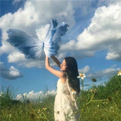完美谋杀案